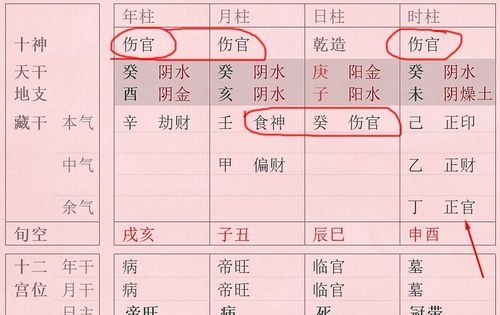 八字伤官的考不了公务员,什么人不能考公务员图3