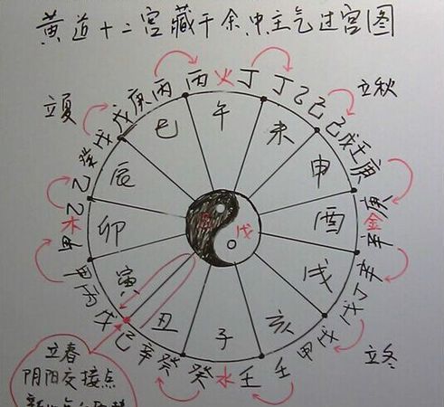 八字天干地支分别代表什么,生辰八字所代表的天干地支五行是什么图3