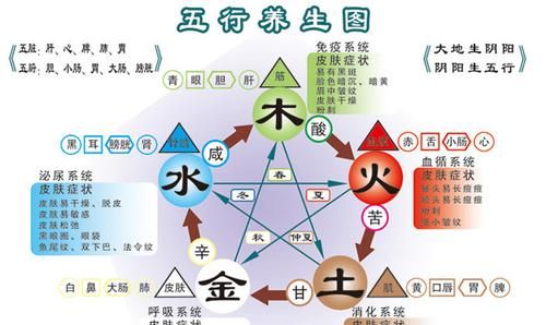 五行属水缺木怎么办,命里缺水缺木怎么办图4