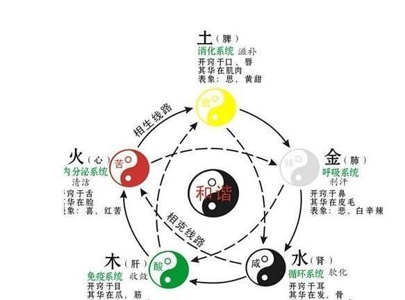 怎么看月令通气不通气,请高人帮忙看下我的八字图3