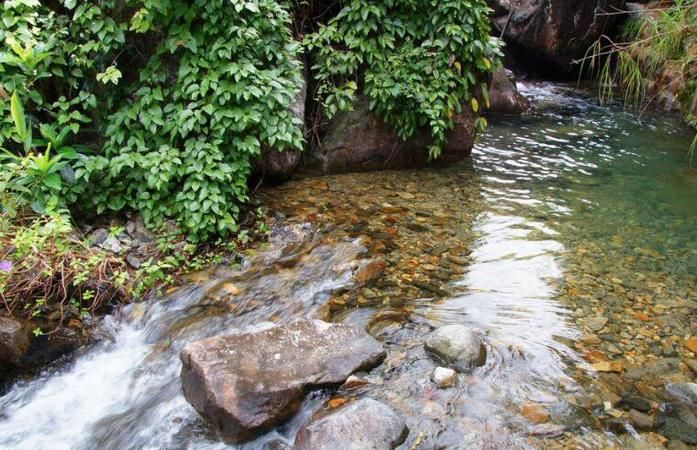 晚上梦见河水清又深
,我梦到河水很深水很大河水很清图4