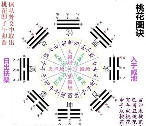 庚申日柱壬寅年运势
,八字庚申运势遇壬寅年好图2