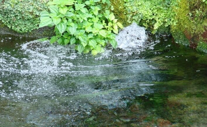 女人梦见河水流动
,女人梦见河水顺流好不好图5