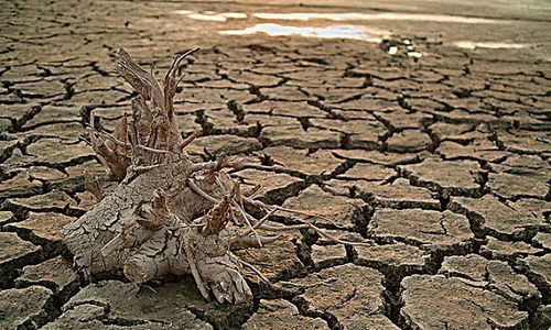 做梦梦到干涸的河床
,梦到河水流干图2