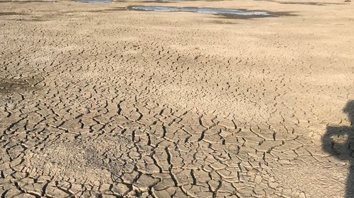 做梦梦到干涸的河床
,梦到河水流干图3