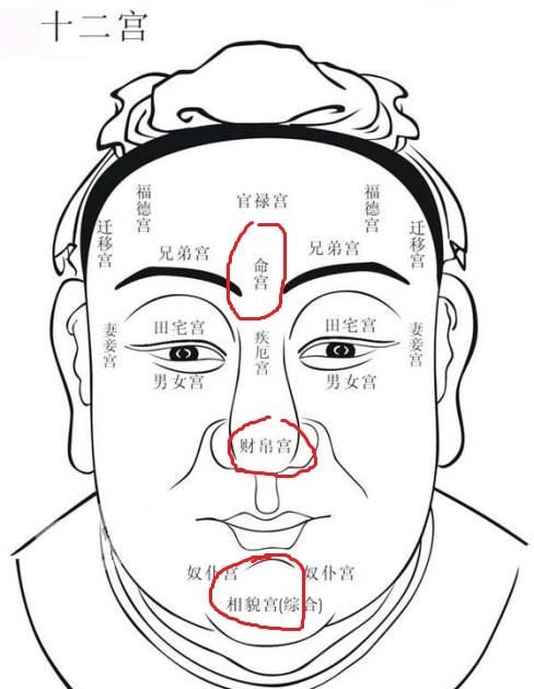 网上算卦给发了照片安全吗
,你说算命的准不准图3