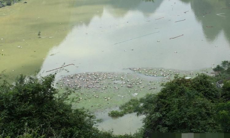 女人梦见水挡住路过不去
,周公解梦之梦见水挡着我的路图3