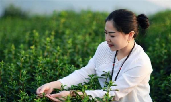 最踏实的星座女
,2星座的女生谁最踏实图8