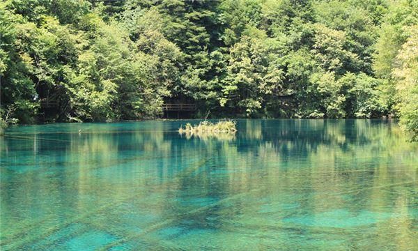 梦见大水很清很深
,梦见好多水水很深很清图1