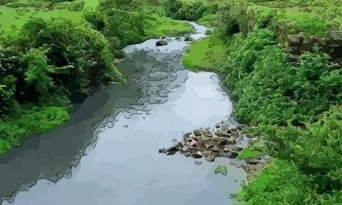 女人梦见清澈的渠水
,女人梦见清澈很大的水是什么意思图4