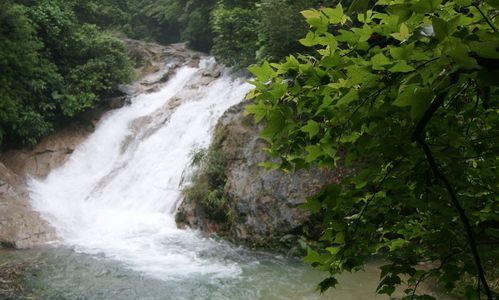 梦见一条小河没有水
,梦到好多条河都没水做后看到水都归那条大河里了图3