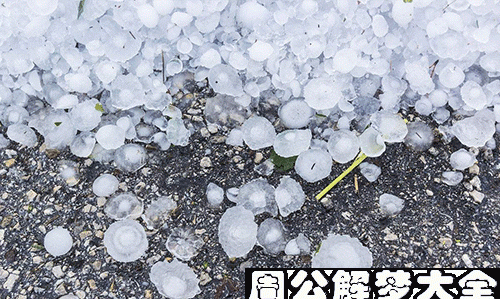 梦见天上下雨后一直冒泡泡
,梦见下雨水冒泡什么意思图4