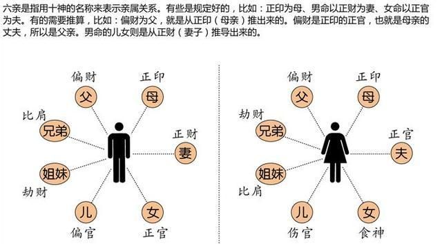 比肩偏印食神同柱遇合
,八字中日柱为食神偏印比肩是什么意思图2