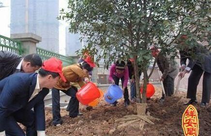 梦见和别人一起浇地水很大
,梦见别人在地浇水而且很多水流出来了图3