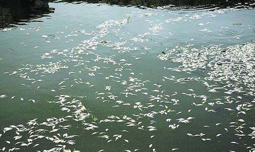 女人梦见在好大的河水里走
,梦见自己在河水中行走是什么意思呢图5