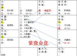 二婚好于一婚的紫微命盘
,紫微斗数分析哪些女人容易二婚图4