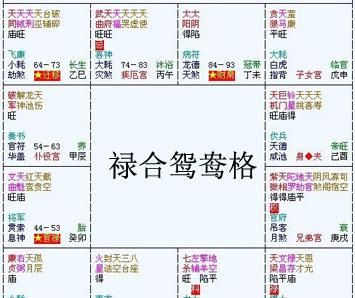 紫微合婚免费测试
,八字合婚免费测试图4