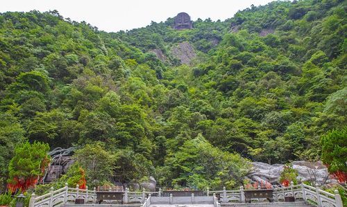 梦见山上有很多小佛像
,梦见山上有一座佛像有好多人在修路上去图2