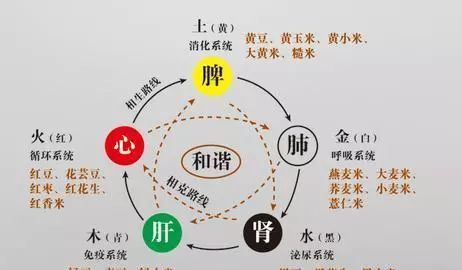 五行缺金的人发不了财
,先天五行缺金的人能发财图4