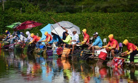 梦见别人逮到大鱼了好不好
,梦见别人钓到大鱼有什么说法图2