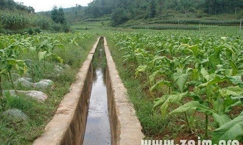 女人梦见水沟过不去
,女人梦见和儿子回家的路上有一条沟里水很深过不去了图1