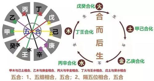 戊癸化火为什么不富
,八字讨论：天日 乙亥是死地图3