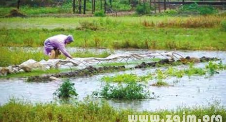 女人梦到河水涨预示着什么
,梦见河水突然涨起来了图2