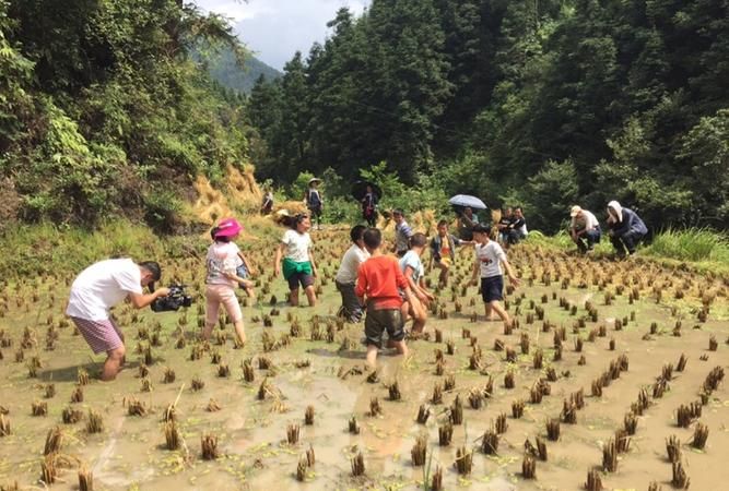 梦见自己在田里洗手
,梦见自己拿了好多的拖把在田里清洗图3