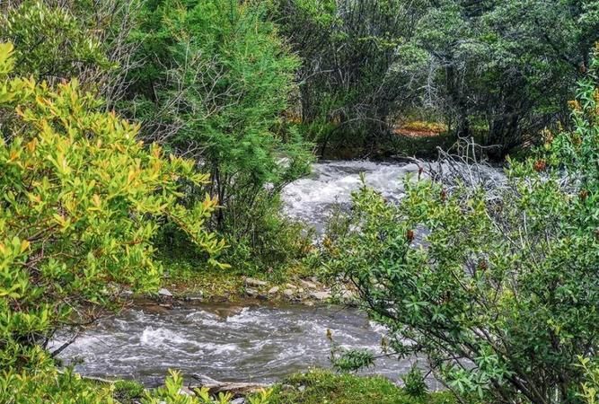 梦见河水涨满整个山沟
,梦见 河水涨满如何解释图1