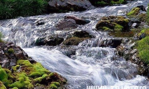 梦见从高处流动下清澈的水
,梦到人从高处掉下清澈见底的水里不知道好不好图1