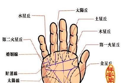 手相算命免费
,看手相算命图解图1