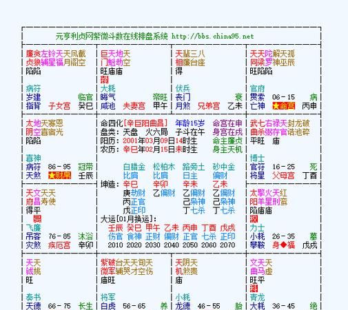 免费紫微斗数在线排盘算命
,紫薇命盘免费解析图4