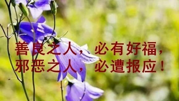 男人伤害善良女人报应
,一个社会上的人渣、小人、欺负一个心地善良的女孩...图2