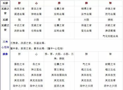 八字五行得分值表
,八字五行属性查询图3