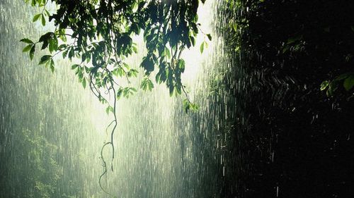 女人梦见在雨中光脚行走
,周公解梦 雨天后光脚走路脚上有泥巴图1