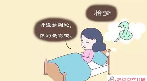 刚怀孕会梦见什么预兆
,梦见刚怀孕是什么预兆图4