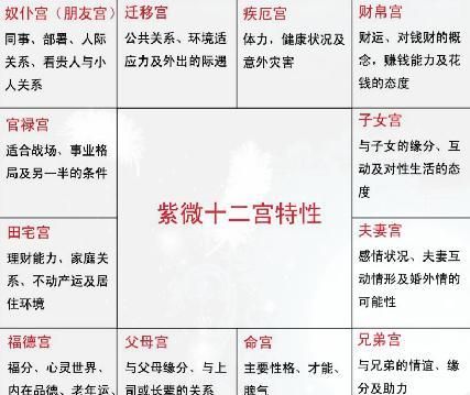 配偶极富的女命紫微斗数
,紫微斗数图2