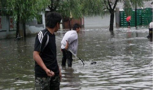 梦见发大水很清
,梦见发大水了图1