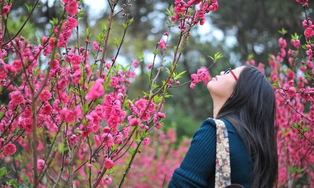 怎么看自己的桃花运势
,怎么看自己的桃花运势图4