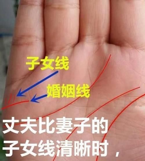 后代有出息的手相
,手相决定你的财富图2