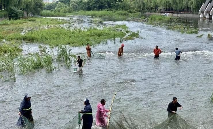 梦见走在河里河水上涨
,女人梦见河水上涨很快图4