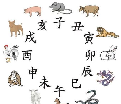 12生肖哪天出生最好命
,十二生肖那个月出生最好图3