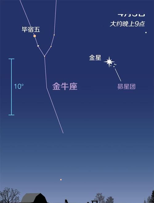 2000年2月2日出生金星星座
,男图3