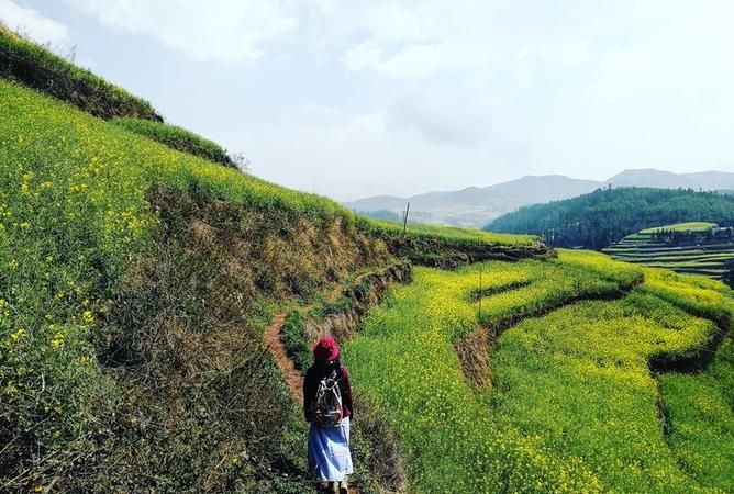 梦见自己和别人从山上走下来
,梦见和好久没见的朋友一起去山上然后又一起下山预...图2