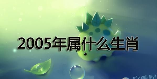 2005年1月13日是什么命
,我的女儿是月3日出生的阴历是腊月初四属猴的但不知道是什么...图3