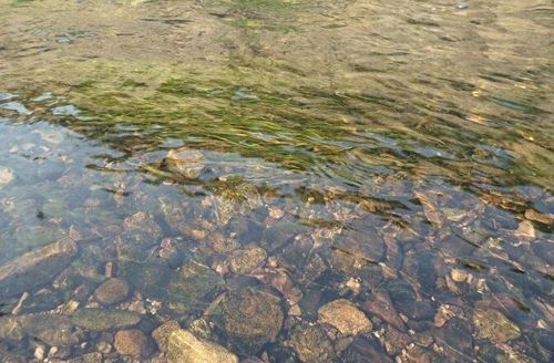 梦见一条小水沟在流水
,梦见小水沟涨大水很吓人图2