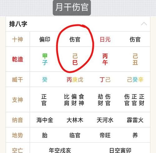 八字月柱看一生命运
,怎么看八字命格图1