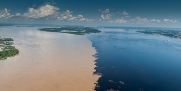 梦到浑浊的水什么预兆
,梦见发浑浊大水是什么预兆图4