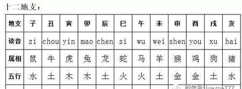 查看今日八字
,怎么查生辰八字及起名建议图4