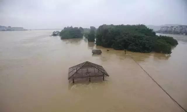 梦到大水往一个坑里流
,梦见水往家园子的坑里淌水图3